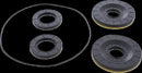 Differential Seal Kit | 09351297