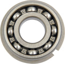 Counterbalance Shaft Bearing For Harley Davidson FLSTCI 1450 EFI 2001-2006