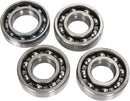Counter Balancer Bearing Kit For Yamaha YFM 700 2013-2014