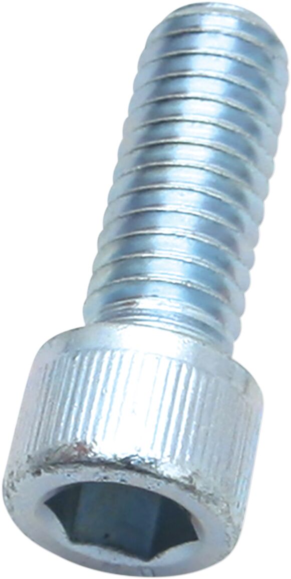 Screw 3/8-16X1 Inch 50-0161 Silver