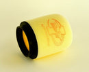 Dual Layer Air Filter For Honda TRX 400 EX 1999-2008