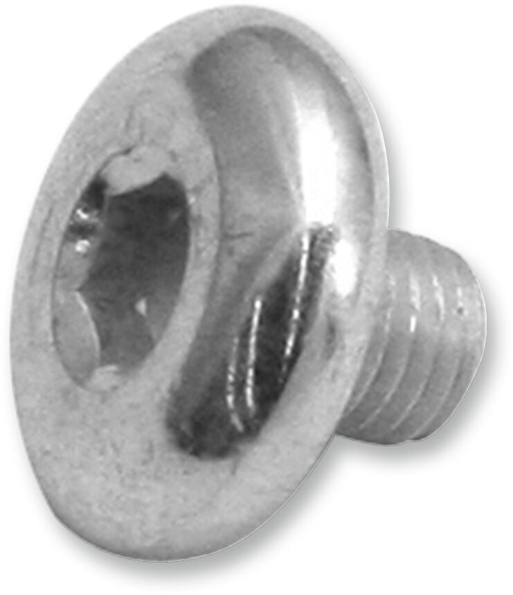 Replacement Air Cleaner Screw