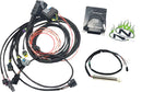 Complete Stand-Alone EFI Engine Management System Black For Harley Davidson FLDE 1750 ABS 2018-2020