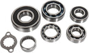 Transmission Bearing Kit For Arctic Cat (Textron) 400 2X4 2004-2008