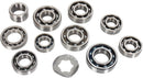 Transmission Bearing Kit For Yamaha YFM 350 2004