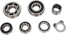 Transmission Bearing Kit For Yamaha YFM 660 R 2001-2005