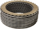 Big Dog Clutch Kit For Big Dog BULLDOG 1917 2005-2010