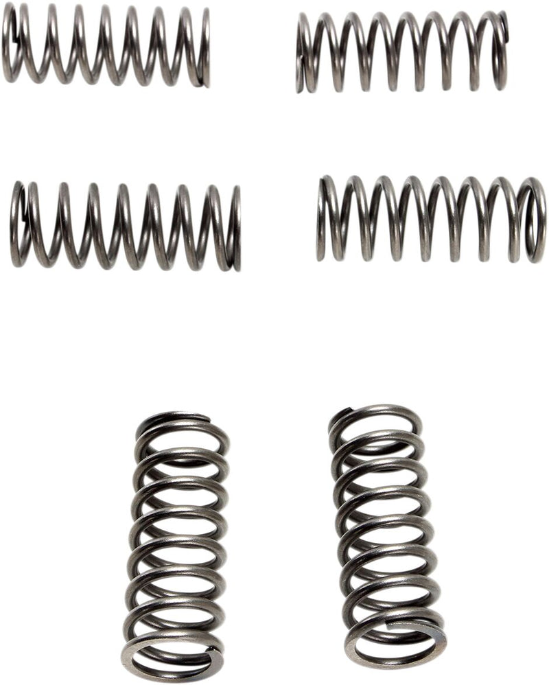 CSK Clutch Spring Set | Vendor No CSK198