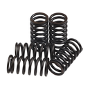 Clutch Spring Kit RM80/85 89-23