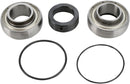 Chain Case Bearing And Seal Kit For Arctic Cat Bearcat 2 440