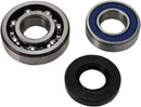 Chain Case Bearing And Seal Kit For Yamaha Bravo 250