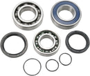 Chain Case Bearing And Seal Kit For Yamaha Apex 1000 GT