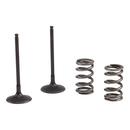 Steel Exhaust Valve/Spring Kit For KX450F 06-08