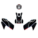 3D Motorcycle Stickers - Basic Kit For BMW F 900 R 2020-2026