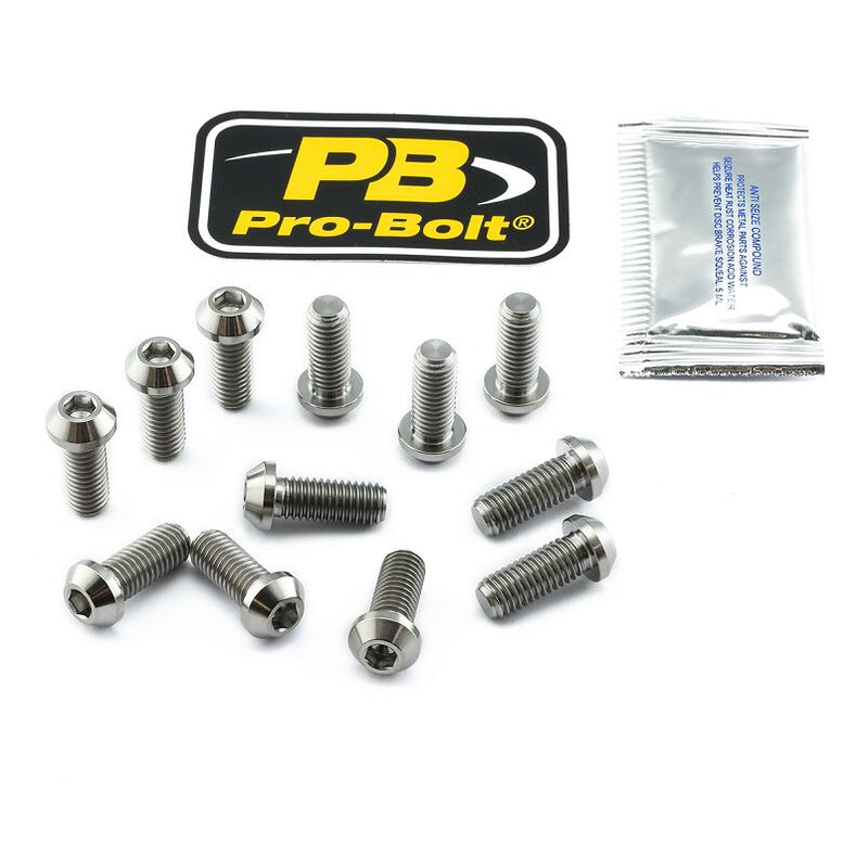 Titanium Brake Rotor Mounting Bolt Kit Silver / Unfinished For Aprilia RSV 1000 1998-2003