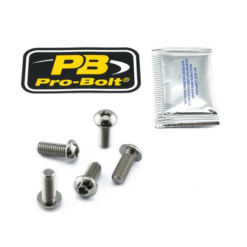 Titanium Brake Rotor Mounting Bolt Kit Silver / Unfinished For Aprilia RSV4 1000 RF ABS 2015-2018