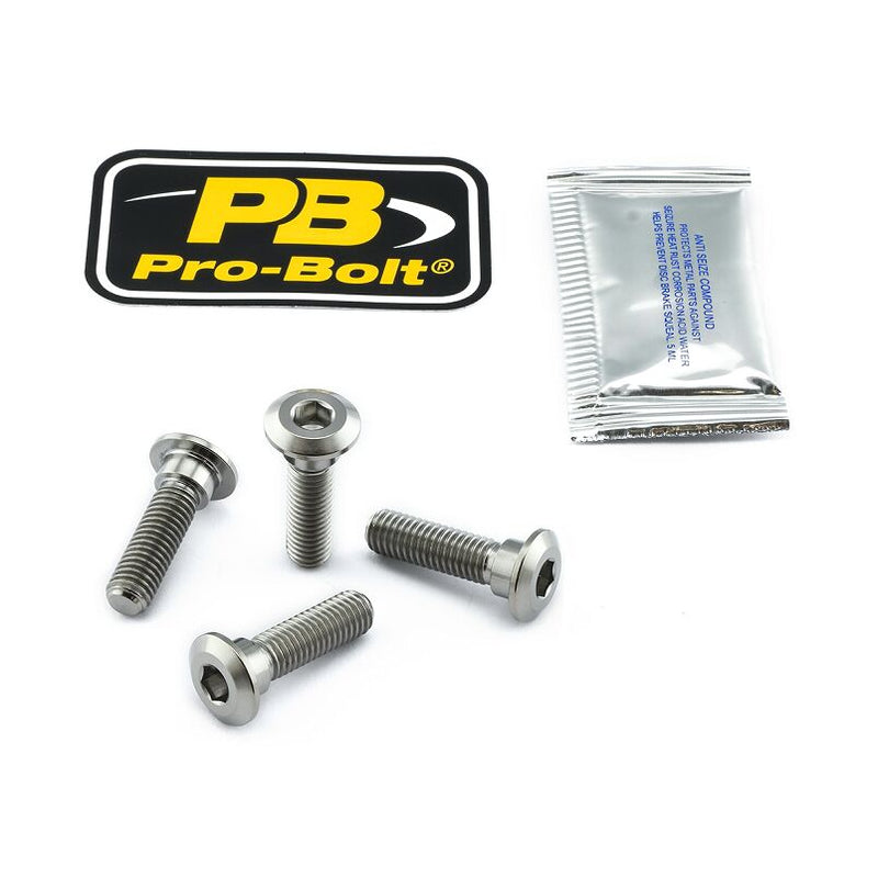Titanium Brake Rotor Mounting Bolt Kit Silver / Unfinished For Kawasaki ER-6F 650 2012-2016
