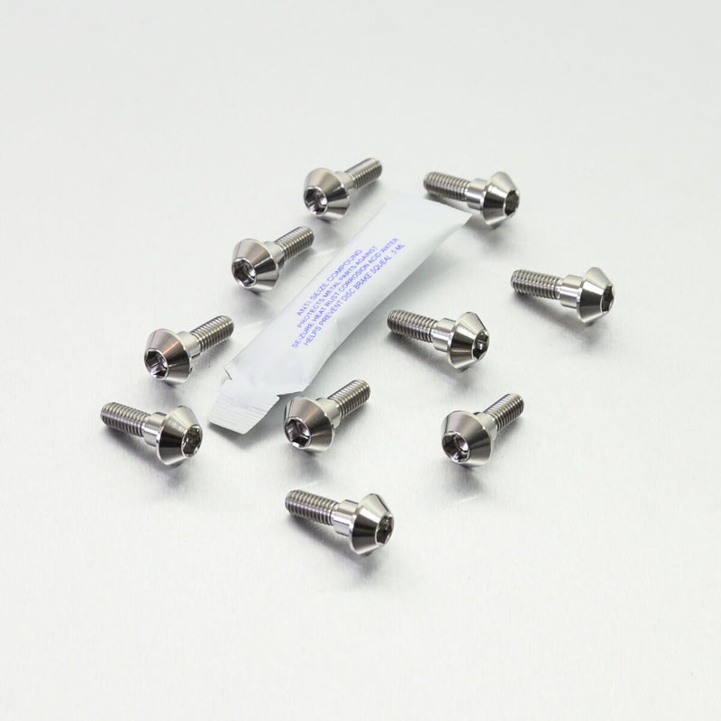 Titanium Brake Rotor Mounting Bolt Kit Silver / Unfinished For Yamaha FZ1 1000 S ABS 2007-2009
