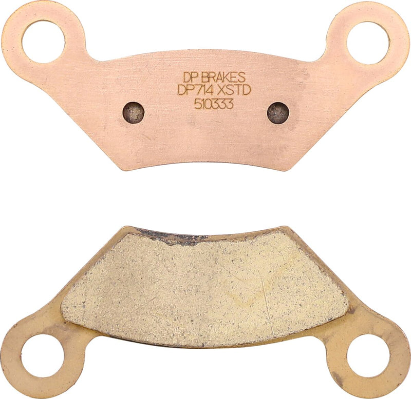 Standard DP Sintered Brake Pads For BMW M 1000 R ABS 2023-2024 - 74.6 MM