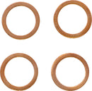 Braided Front Brake Line Chrome For Indian CHALLENGER 108 ABS - Oversize [+10.2 CM]