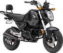 Bronze Tip Slip-On Muffler Powder-Coated For Honda MSX 125 ABS
