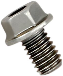 Replacement Exhaust Bolt For Aprilia RSV4 1000 RF ABS