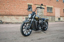 Outrider Radiator Guard Natural / Silver For Indian SCOUT 60 ABS 2016-2020