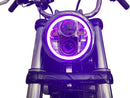 ProGLOW™ LED Headlamp With Color Changing Halo Clear For Harley Davidson FLSTSB 1584 2008-2011