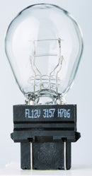 Filament Glass Wedge Bulbs 27 W