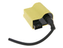 CDI Unit Yellow For Suzuki AY 50 A LC