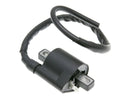 Ignition Coils