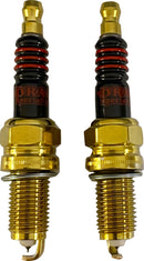 Iridium Spark Plugs For Indian CHIEF 111 ABS 2024