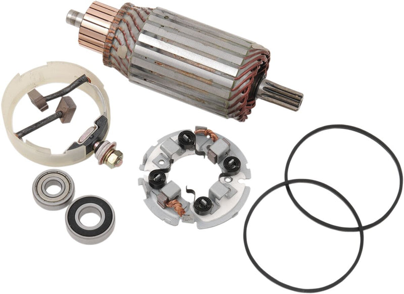 Starter Motor Rebuild Kit