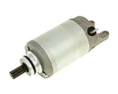 Starter Motor For Suzuki AN 250