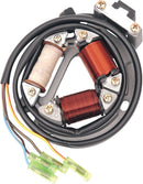OEM Style Stator Motor For Suzuki LT 250 R 2x4 1985-1992