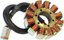 OEM Style Stator For Ski-Doo (BRP) GTX 600 E-TEC 2009