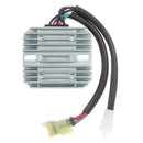 Regulator Black / Silver For Arctic Cat (Textron) 375 2X4 2002 - 35 A