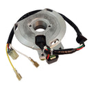 Stator For Husaberg FE 250 2013-2014