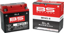 SLA Factory- Activated AGM Maintenance-Free Battery Black For Arctco/ Tigershark TS 1000 LI 1998-1999 - 12 V