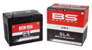 SLA Factory-Activated AGM Maintenance-Free Batteries Black - 195 MM