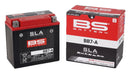 SLA Factory-Activated AGM Maintenance-Free Batteries Black For Arctic Cat EXT 580 1995-1996 - 133 MM