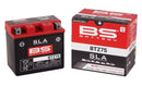 SLA Factory-Activated AGM Maintenance-Free Batteries Black - 12 V