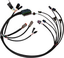 Complete EFI Wiring Harness Black For Harley Davidson FLHRCI 1450 EFI 2002-2005