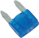 Replacement Fuses | 21300090