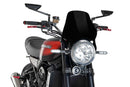 Naked Screen Black (Opaque) For Kawasaki Z 900 RS 2017-Current