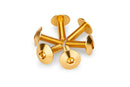 M6 X 20 Screen Screws 16.8 MM Head Gold - Pack Of 6