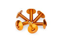 M6 X 20 Screen Screws 16.8 MM Head Orange - Pack Of 6