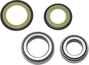 Steering Stem Tapered Roller Bearings And Seals Kit For Honda FSC 600