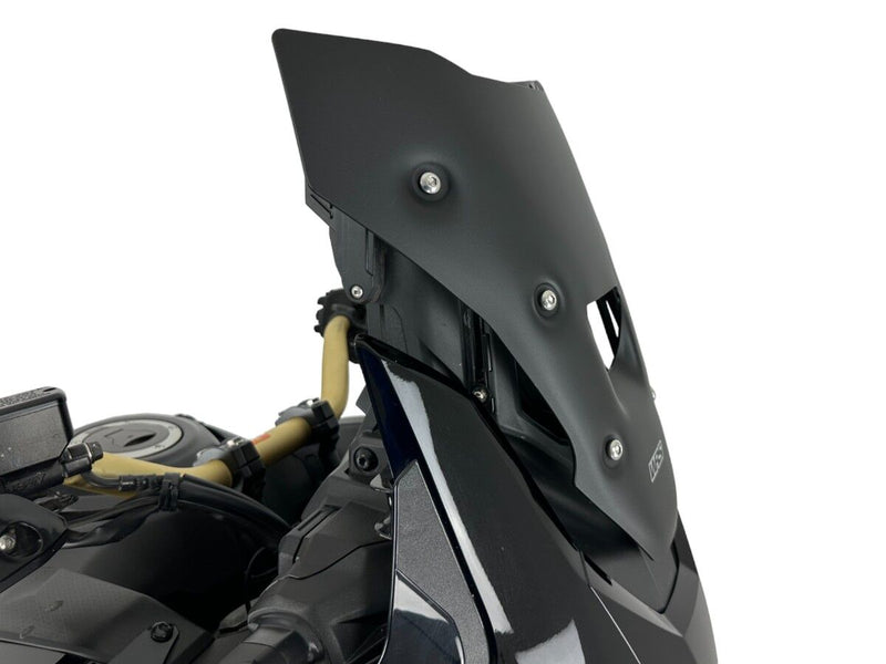 Windscreen Sport CRF1100L Africa