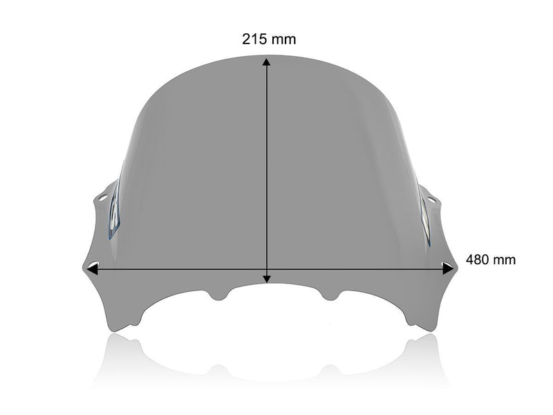 Windscreen Race M1000RR Smoke